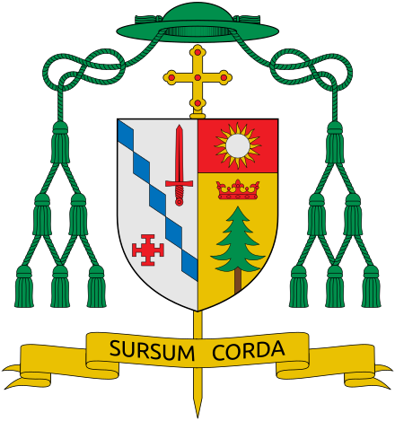 Coat of arms of Steven Raica (Birmingham).svg